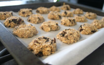 Choco-havermout koekjes
