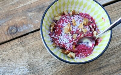 Gezond Paleo IJs Recept